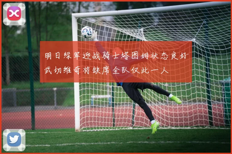 明日绿军迎战骑士塔图姆状态良好武切维奇将缺席全队仅此一人