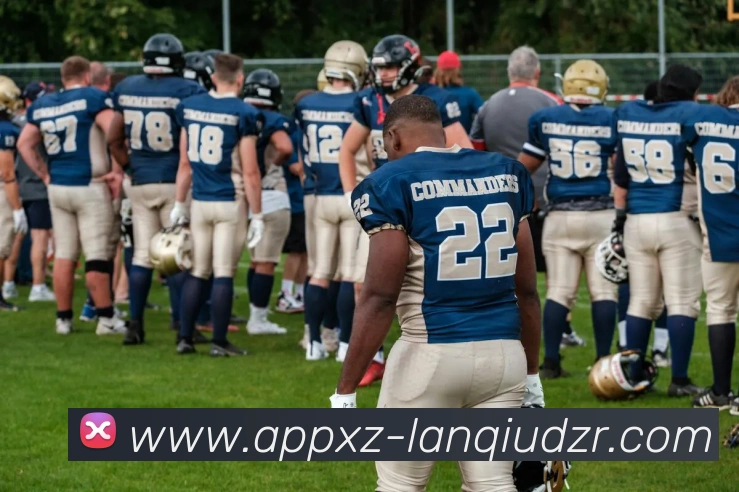 多媒体互动体验