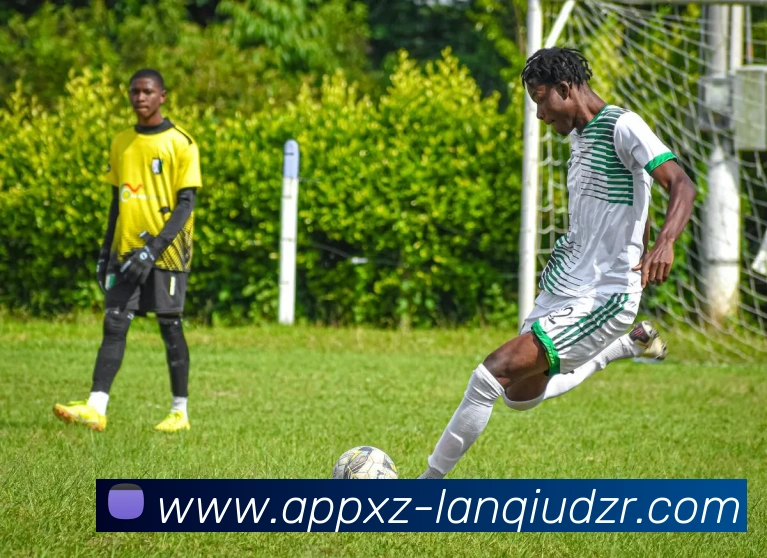 篮球赌注APP 高清赛事图